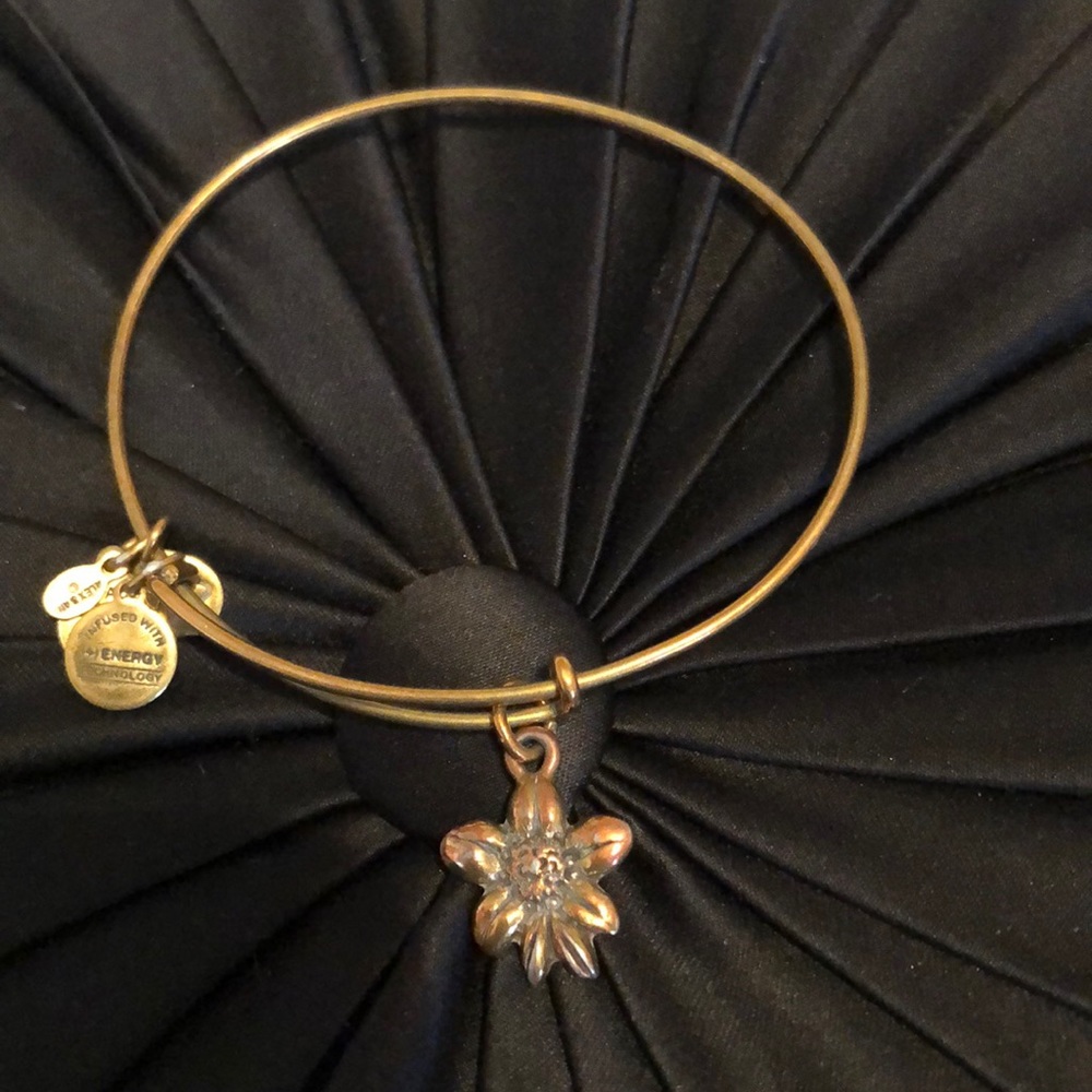 Alex and Ani Apple Blossom Charm Bracelet - Picture 2 of 4
